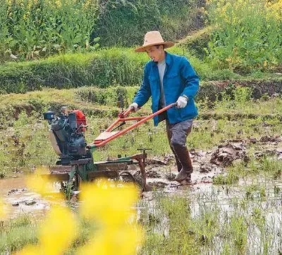 疫情防控的基本常识是什么？（疫情防控和春耕备耕两不误）